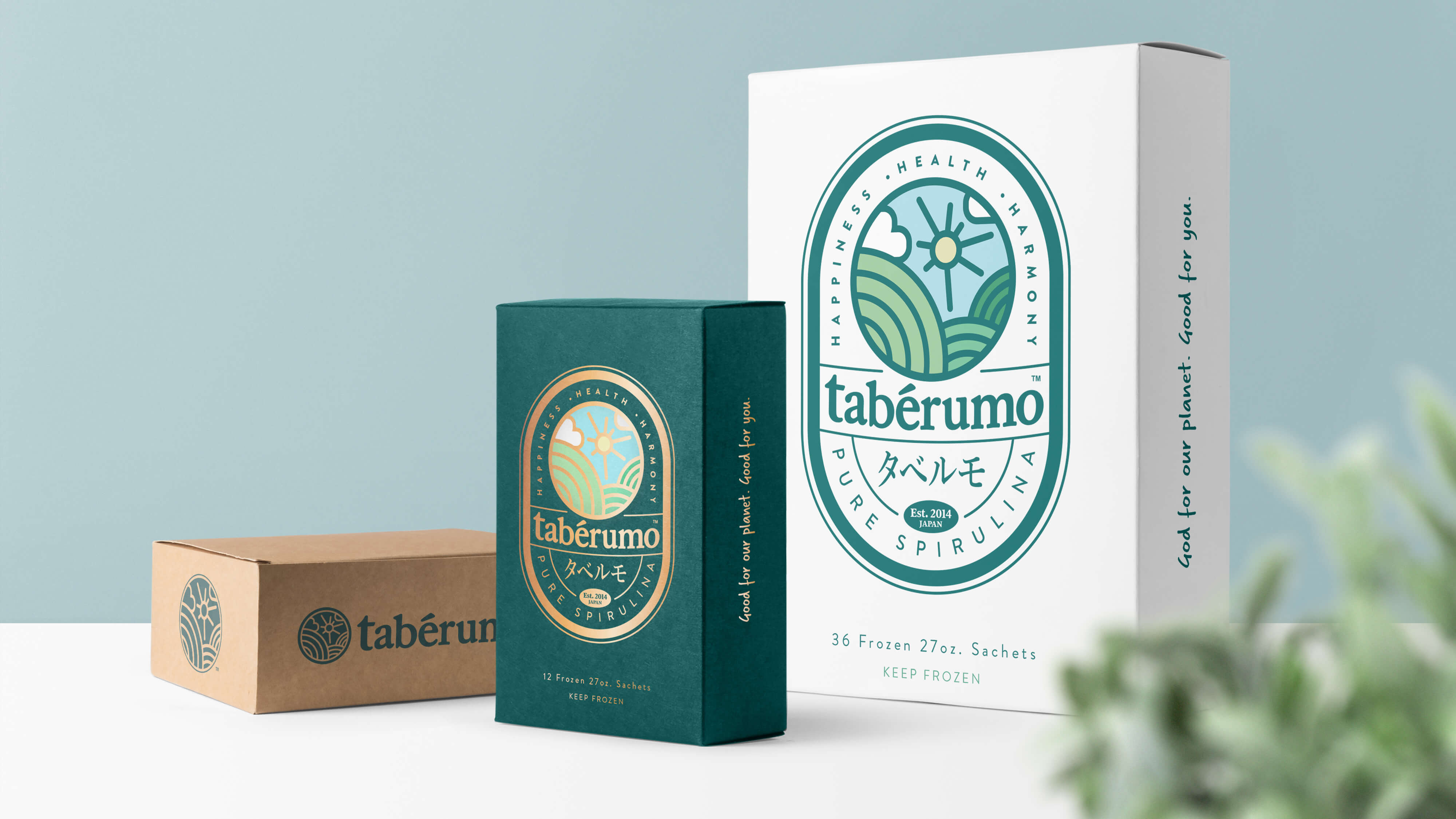 front-packaging-scene-1